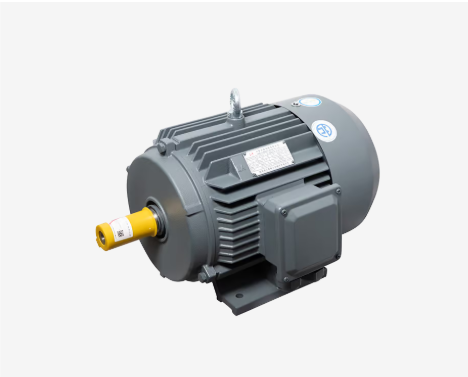Motor LAEG TYP Series – Động cơ đồng bộ nam châm vĩnh cửu