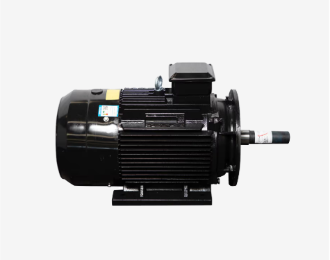 Motor LAEG TYP Series – Động cơ đồng bộ nam châm vĩnh cửu