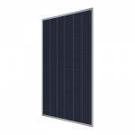 tcl 01