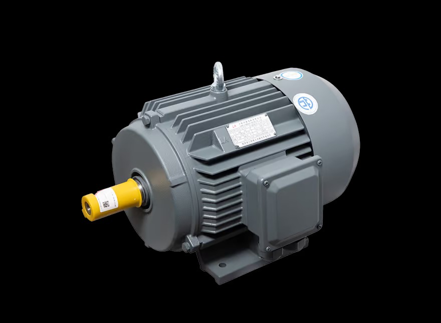Motor LAEG TYP Series – Động cơ đồng bộ nam châm vĩnh cửu